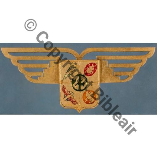 23e ESCADRE DE BOMBARDEMENT  1937-40 TOULOUSE  METAL DORE (a confirmer) EMAUX TRANSLUCIDES FONCES Src.P.SALLES 